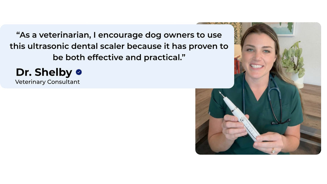 Mendplex™️ Dental Scaler